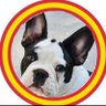 BULLDOG_mca's profile picture. Mallorquín y pequeño empresario.

Abascal y Pablo Iglesias tienen un chalet, pero solo a uno de ellos le dan vergüenza los políticos que viven en casoplones.