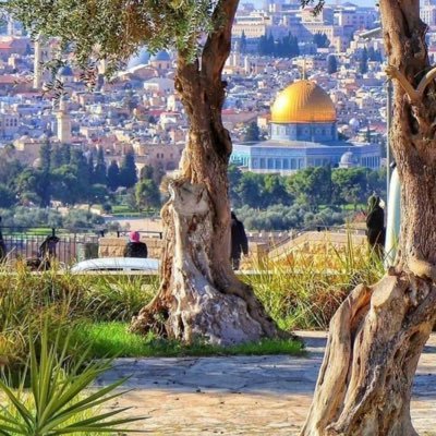 احب الهداية للعالم اشفق على كل مخلوق بعيد عن الله احب الهداية والرحمة للبشرية اكره العصيان والكفر اتقرب الى الله سبحانه بالرحمة على الخلق