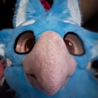 Quazbird (@quazbird) 's Twitter Profile