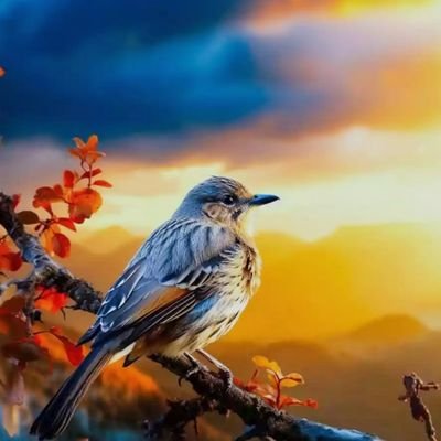 AniB1023's profile picture. _ISOMTFMR_