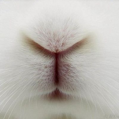 AlexBarros22500's profile picture. ˖⁠꒰⁠⑅⁠♡⁠꒱