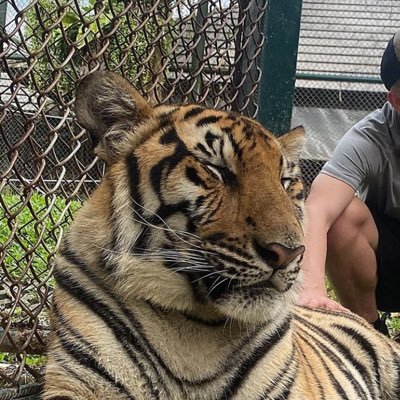 Tomufc20's profile picture. ✝️
Salford