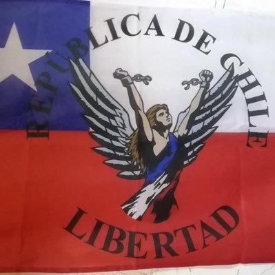 Fernandaolivost's profile picture. Patriota, Sistema Capitalista de Libre Empresa, AntiComunista #RenunciaBoric