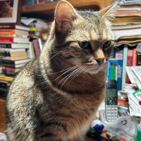 Bob Mixson (@bob_mixson) 's Twitter Profile