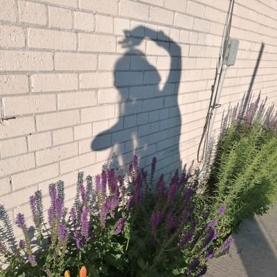 FloraLan17's profile picture. I had 2 years of small businesses about Electric toy bettery before, I had more than 20 years of experience in marketing.