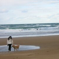 MJ ~ EA4HSF (@guturia) 's Twitter Profile