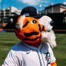 PAWSDetroit's profile picture. Detroit's favorite mascot, presented by the @detroitzoo.
The BIGGEST @tigers fan around. #RepDetroit