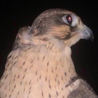 ن (@xna35) Twitter profile photo