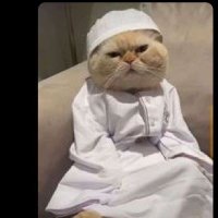 Sfo😎😎 (@fawazolanrewaj4) 's Twitter Profile Photo Sfo😎😎 (@fawazolanrewaj4) 's Twitter Profile Photo