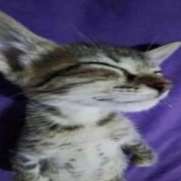 Cmhl (@cmhl_21) 's Twitter Profile