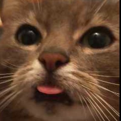 Ouzbekistann's profile picture. @OL ⚽ / @PierreGASLY - @OconEsteban - @Isack_Hadjar 🏎️🇫🇷 / @officialkaleo 🎸 26