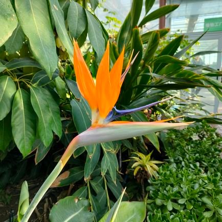 gbdst717's profile picture. 