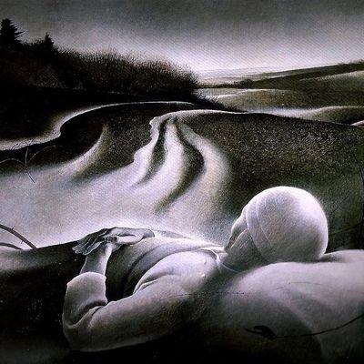 v43widerlich's profile picture. 