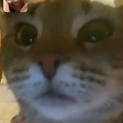 ninas_fan_page's profile picture. 