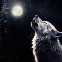 YuriULTRAS (@gxnneryuh) 's Twitter Profile