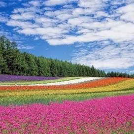 o_jue69216's profile picture. 経営者/個人投資家。ビジネス失敗後、再起し複数の会社を経営。今はおトク情報を発信したり、自身がお金に苦労した経験からお金に困窮している方を救いたいと思い、わずかですが現金プレゼント企画を実施しております。 支援中→https://t.co/YYxw2qId3d