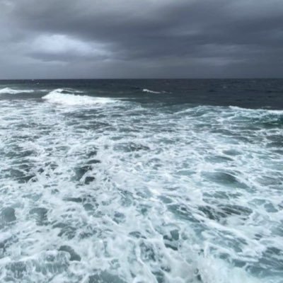 lSUl__1's profile picture. 