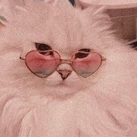 dizzytopaz (@dizzytopaz) 's Twitter Profile