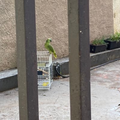 Juliaescuta's profile picture. 