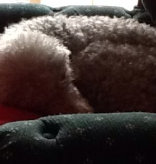 garyg2624's profile picture. 