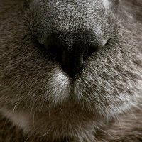 Chris Saager (@lcsaager) 's Twitter Profile
