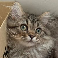 Steve Brown (@stevebrown1084) 's Twitter Profile