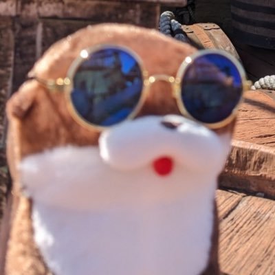 ど～げんざかヴェルさんのプロフィール画像