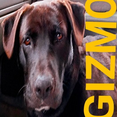 dwainq2009's profile picture. Funny Mechanic who loves to laugh 😁