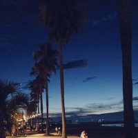 c.r.r (@enjoy_run_) 's Twitter Profile