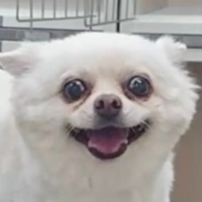 t7jnx's profile picture. 🚗ぶーんやさん たくさんツイートするよ にじゅっさい　同業のお友達ほしいです