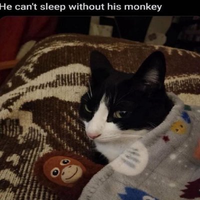 Lucasmc14_'s profile picture. ESI 📚
Scout ⚜️