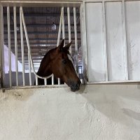 ّ (@1ei_ii) Twitter profile photo