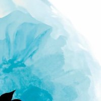 blyss (@720blyss) 's Twitter Profile