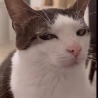 Jerl (@jerl1455122) 's Twitter Profile