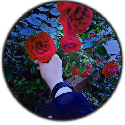 syedheena533832's profile picture. 