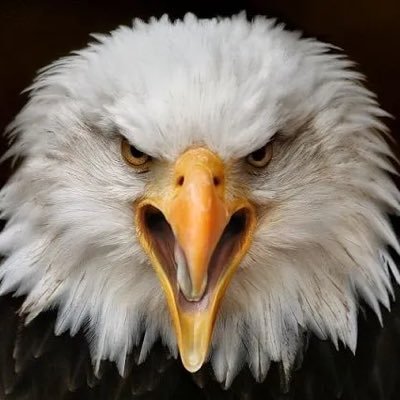 Wake Up America! Registered independent. MAGA 🇺🇸 Trump 2024