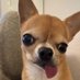 dad (@tipppppppp4449) Twitter profile photo