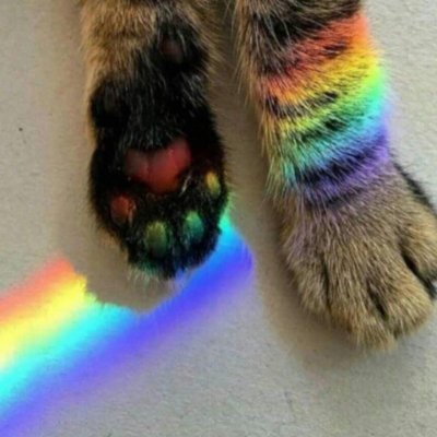 dzft247's profile picture. ɱ✴α🌹 Tauteo & Omega🥀
My footprints shine with the Red Moon🌈
If you want a Friend, Tame me🐾
💭🇲🇽 / 🇺🇸