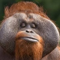 sp6r=underrated (@sp6runderrated) 's Twitter Profile