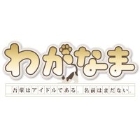わがなま (@wgnm_info) 's Twitter Profile