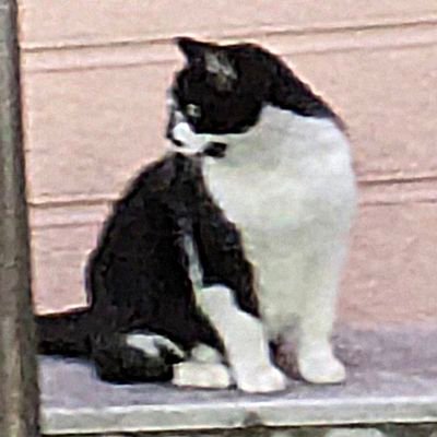 20↑│取引垢│検索対策中│無言フォロー🆗
