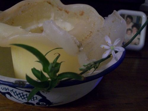 Lee_Septhany's profile picture. Creator and dreamer wanting to make my little piece of this world better...