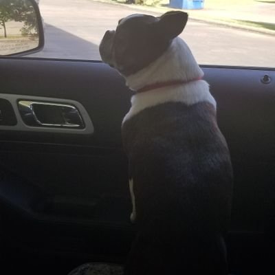 yoklj496672's profile picture. 