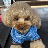 わたわた (@watawata1925) 's Twitter Profile Photo わたわた (@watawata1925) 's Twitter Profile Photo