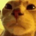 xanthous77's profile picture. Hi yall, just your average minecraft addict.