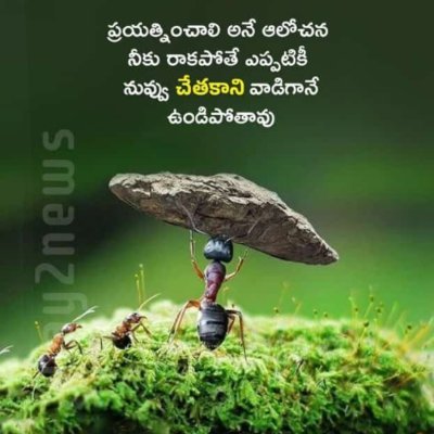 SirigiriVenka11's profile picture. 