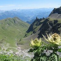 Peter münch (@kleeburger) 's Twitter Profile