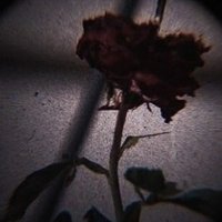 daniii_rp_ (@daniii_rp_) 's Twitter Profile