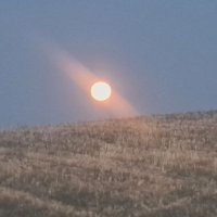 AvendamnJosé (@avendamnjose) 's Twitter Profile