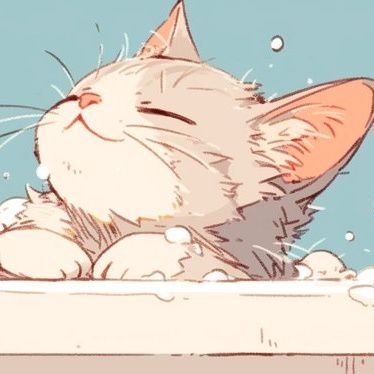 しーちゃんさんのプロフィール画像
